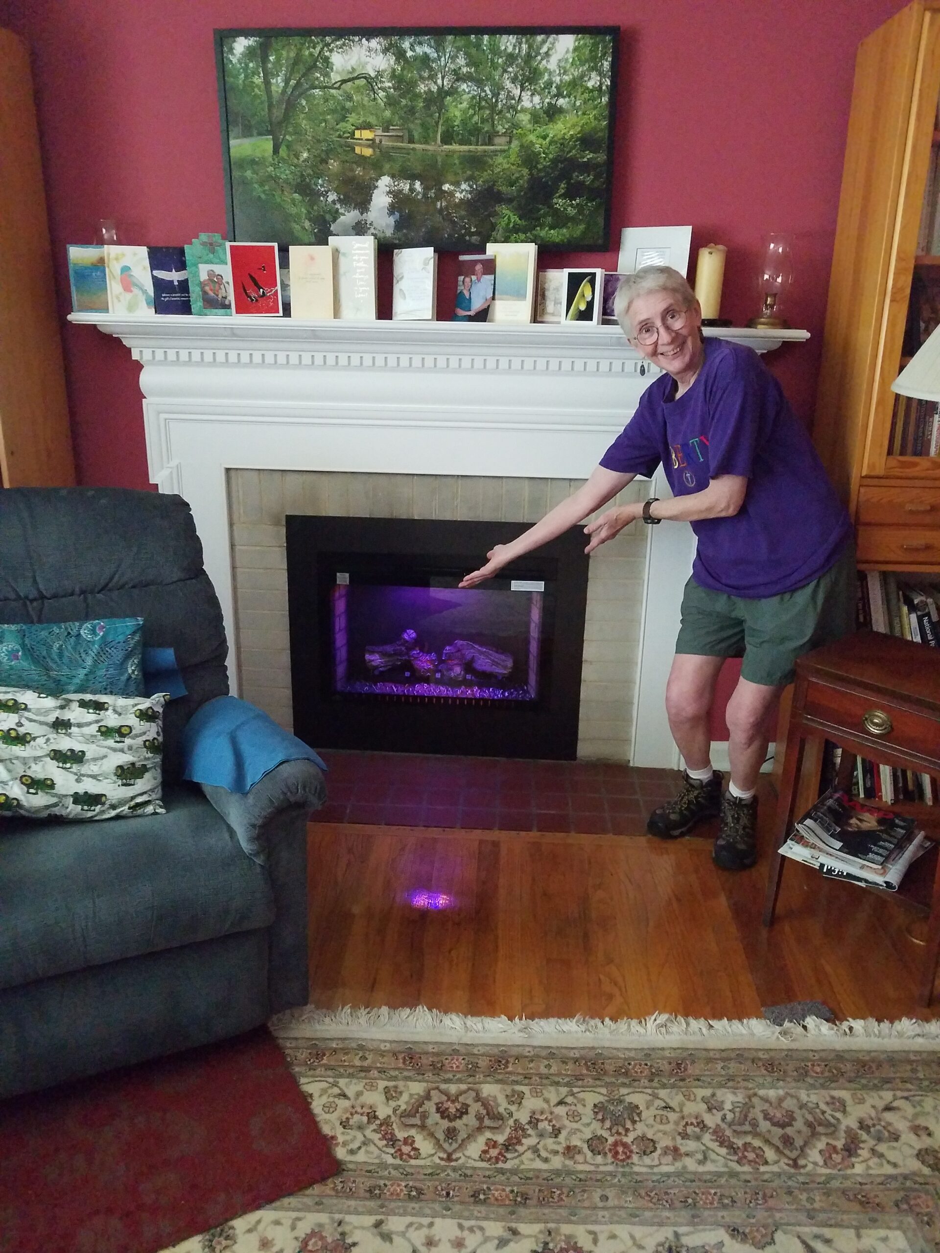 Electric Fireplace Project Photo